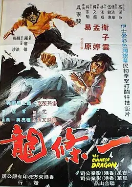 《一条龙1973》全集高清完整版在线观看与剧情解析