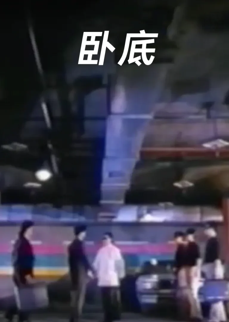 《卧底1991》全集高清完整版在线观看与剧情解析