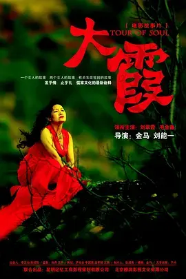 《大霞2013》全集高清完整版在线观看与剧情解析