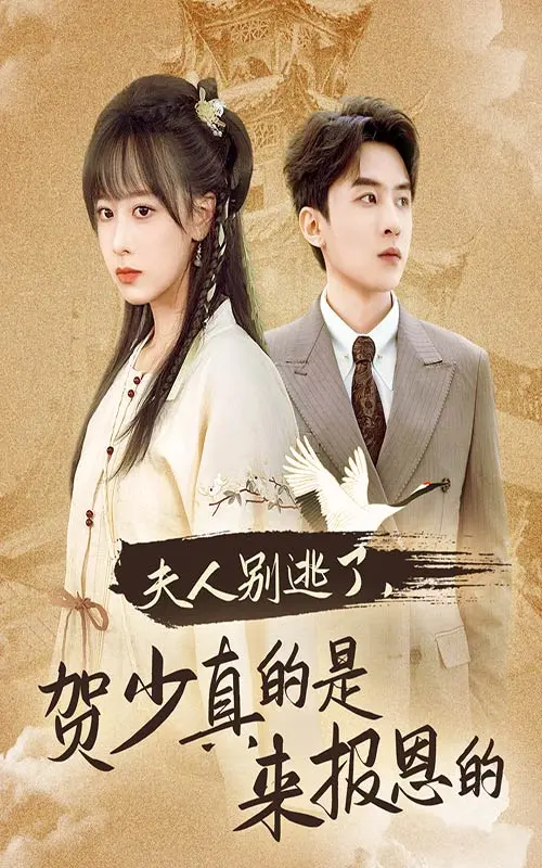 《夫人别逃了贺少真的是来报恩的》全集高清完整版在线观看与剧情解析