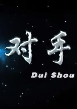《对手2012》全集高清完整版在线观看与剧情解析