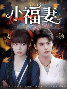 《小福妻》全集高清完整版在线观看与剧情解析