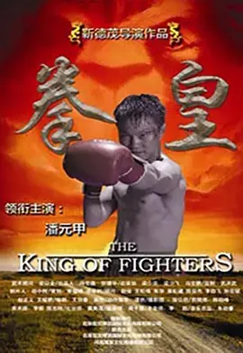 《拳皇2011》全集高清完整版在线观看与剧情解析