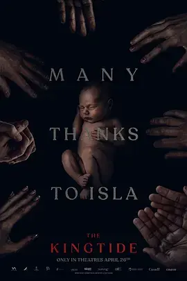 《王潮[电影解说]》全集高清完整版在线观看与剧情解析