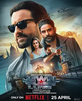 《珠宝大盗：神偷出马》全集高清完整版在线观看与剧情解析