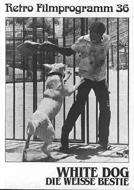 《白狗1982》全集高清完整版在线观看与剧情解析